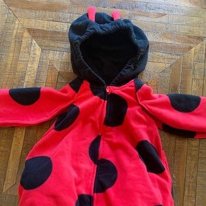 Ladybug costume